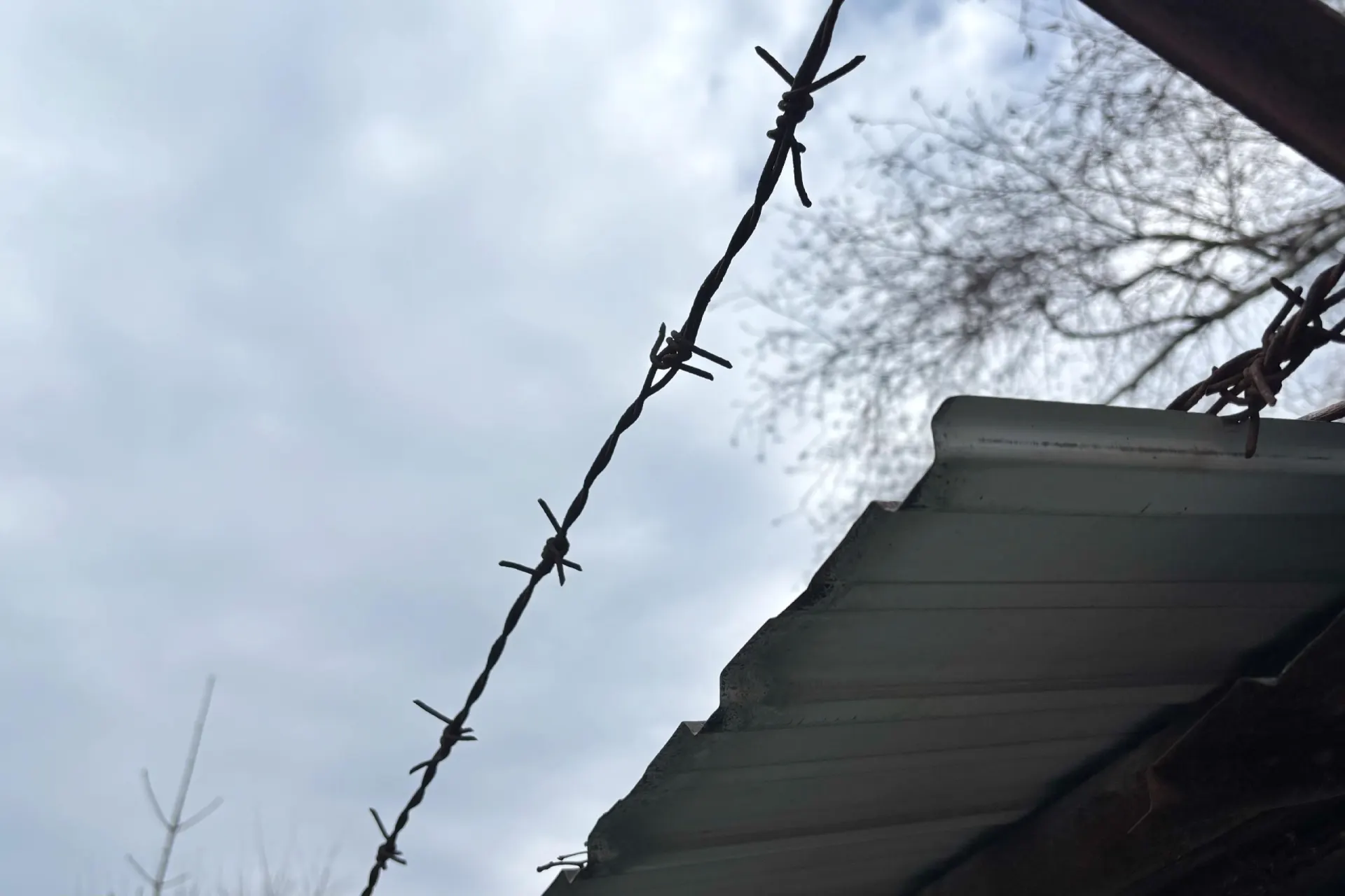Жительница Рязани заключена под стражу: по версии следствия, она нанесла сожителю несколько ножевых ранений в голову. Расследование продолжается.