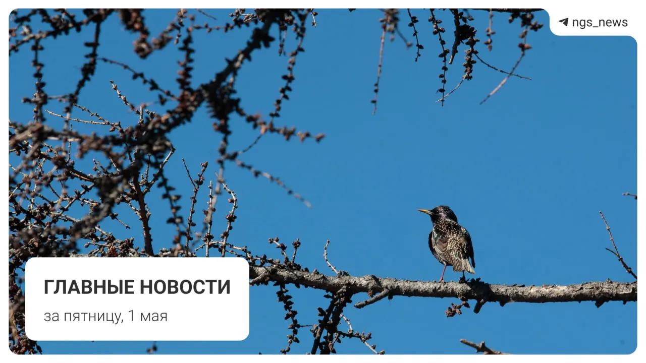 В детской спортивной школе в Татарске обрушился потолок — пострадавших нет. В подборке также: поезд метро из старых вагонов, запуск фонтана в Центральном парке, первомайское шествие и погром на площади Маркса.