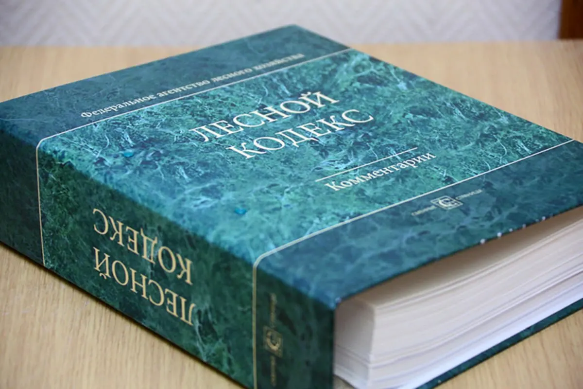 С 2006 года в документ внесли десятки поправок, последний пакет которых вступит в силу в сентябре. Эксперт считает, что кодекс устарел и требует радикального упрощения.