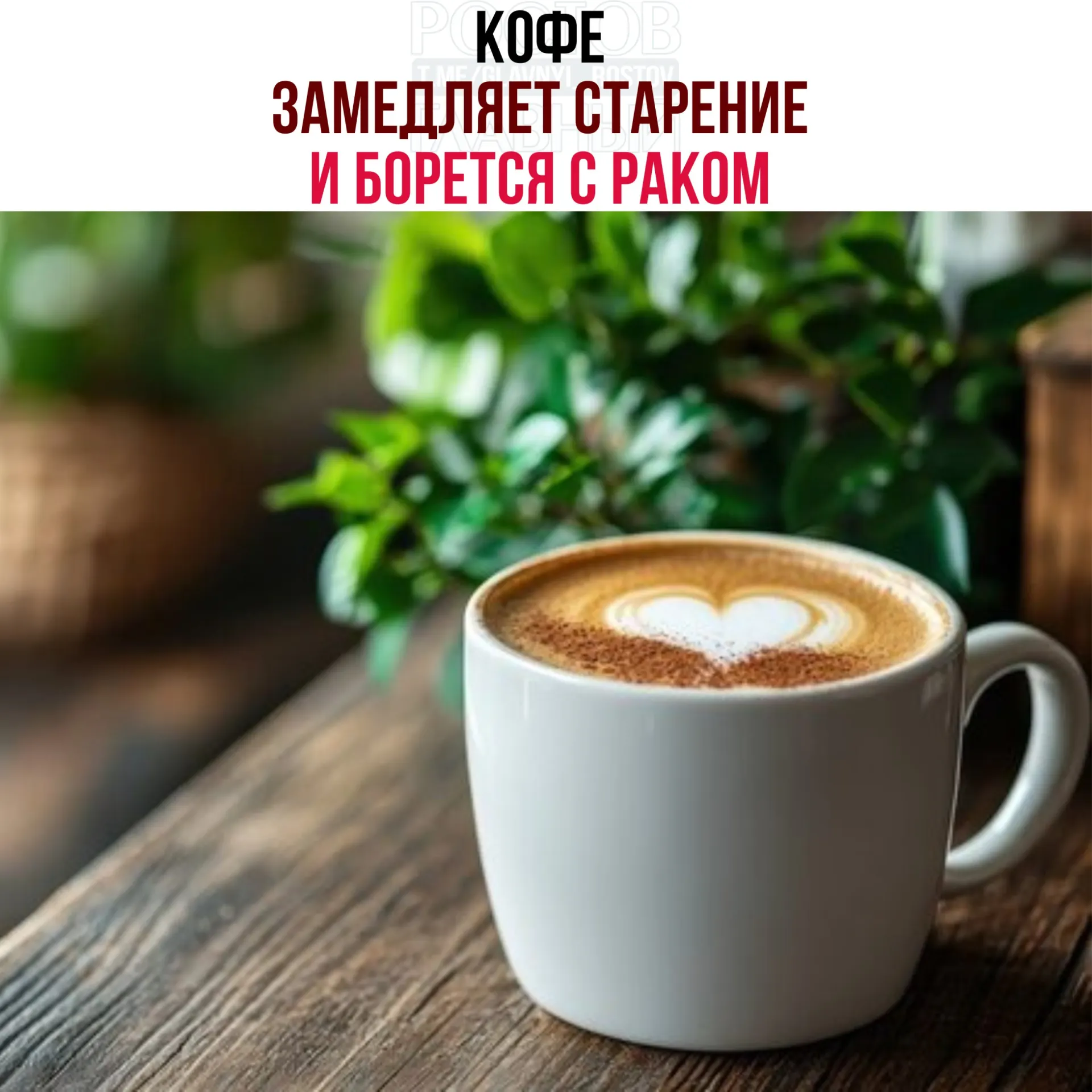 В зернах кофе обнаружены кислоты и полифенолы, которые активируют белок NR4A1 — он запускает восстановительные процессы, снижает воспаление и замедляет рост опухолевых клеток.
