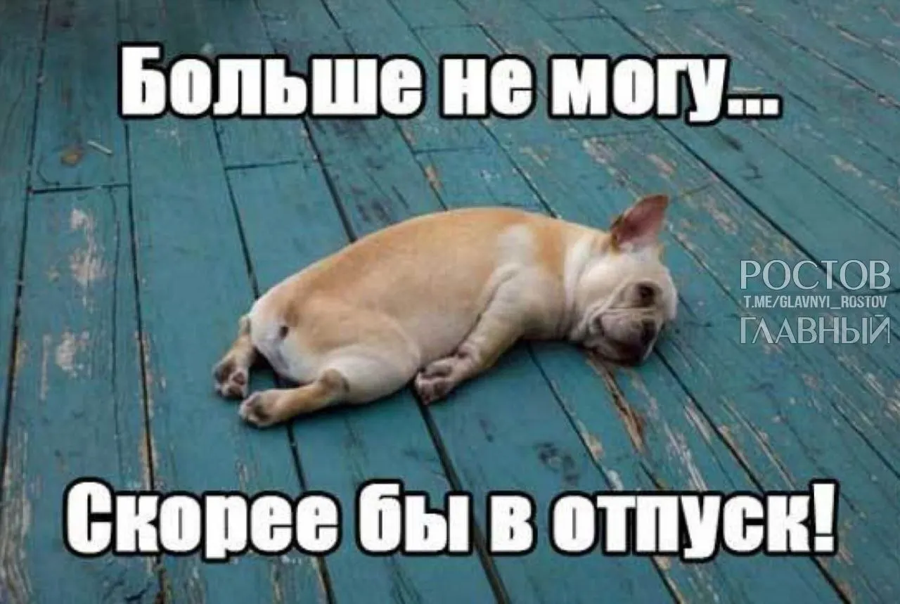 Депутаты считают, что увеличение минимального отпуска компенсирует выходные, включённые в текущие отпуска, и поможет россиянам лучше отдыхать и избежать выгорания.