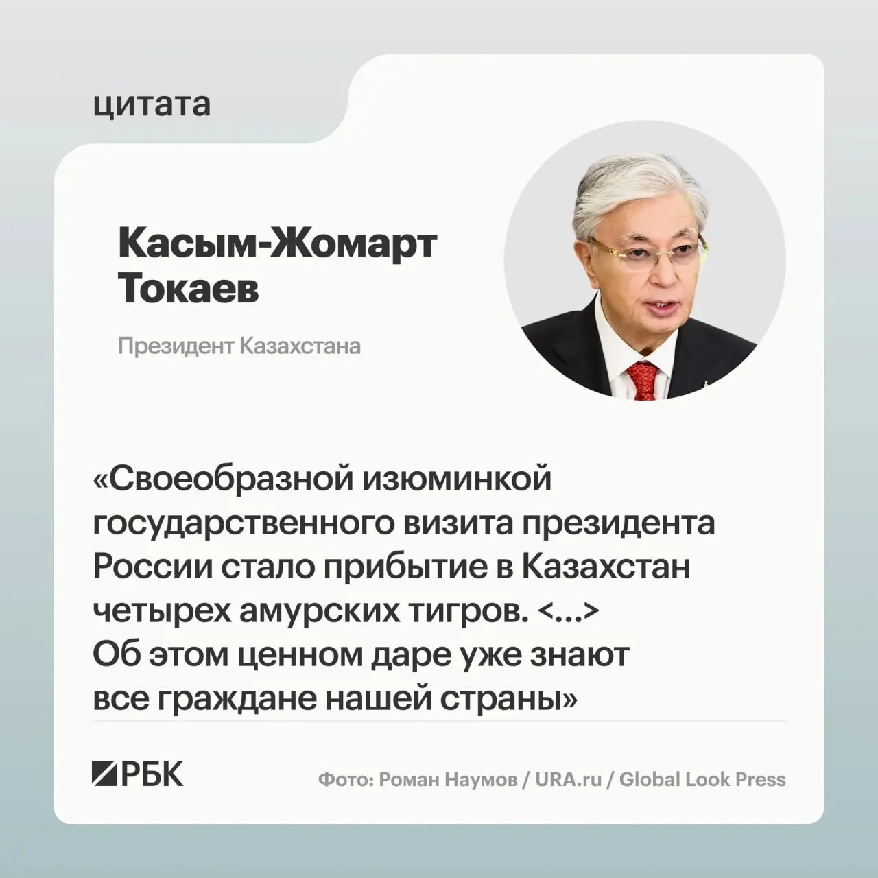 Президентам России и Казахстана показали презентацию о тиграх, передача животных состоялась после просьбы Казахстана о помощи в возрождении вида.
