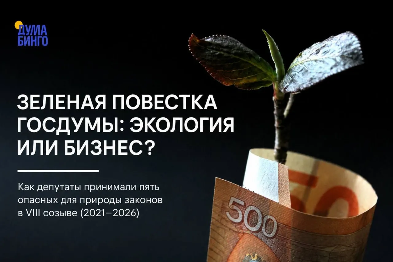 Анализ парламентских инициатив последних лет показывает системную тенденцию к ограничению общественного контроля и ослаблению охраны природных территорий — решения проходят в основном большинством голосов «Единой России» и союзников.