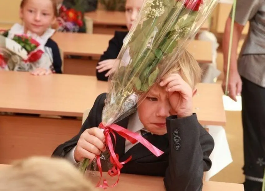 В Минпросвещения подтвердили, что 11-летняя система обучения признана оптимальной и менять количество классов не планируют. Все новые стандарты и донастройки будут вводиться с учётом именно 11 классов.