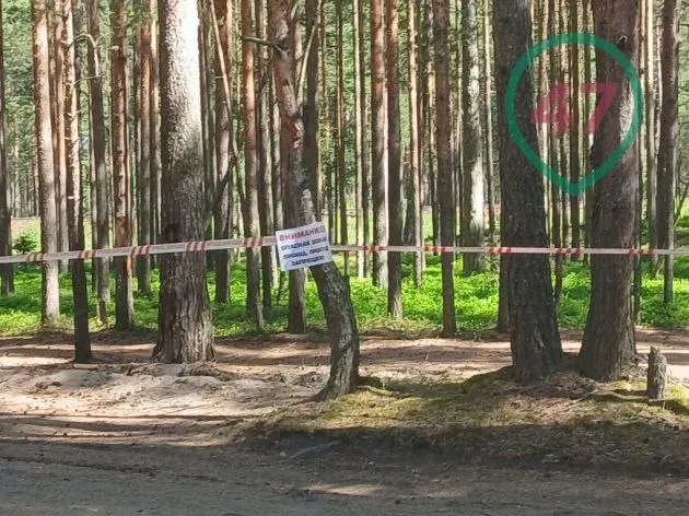 В районе Большой Ижоры и между поселками проводят разминирование, эвакуируют жителей и меняют маршруты транспорта после утренней атаки беспилотников.