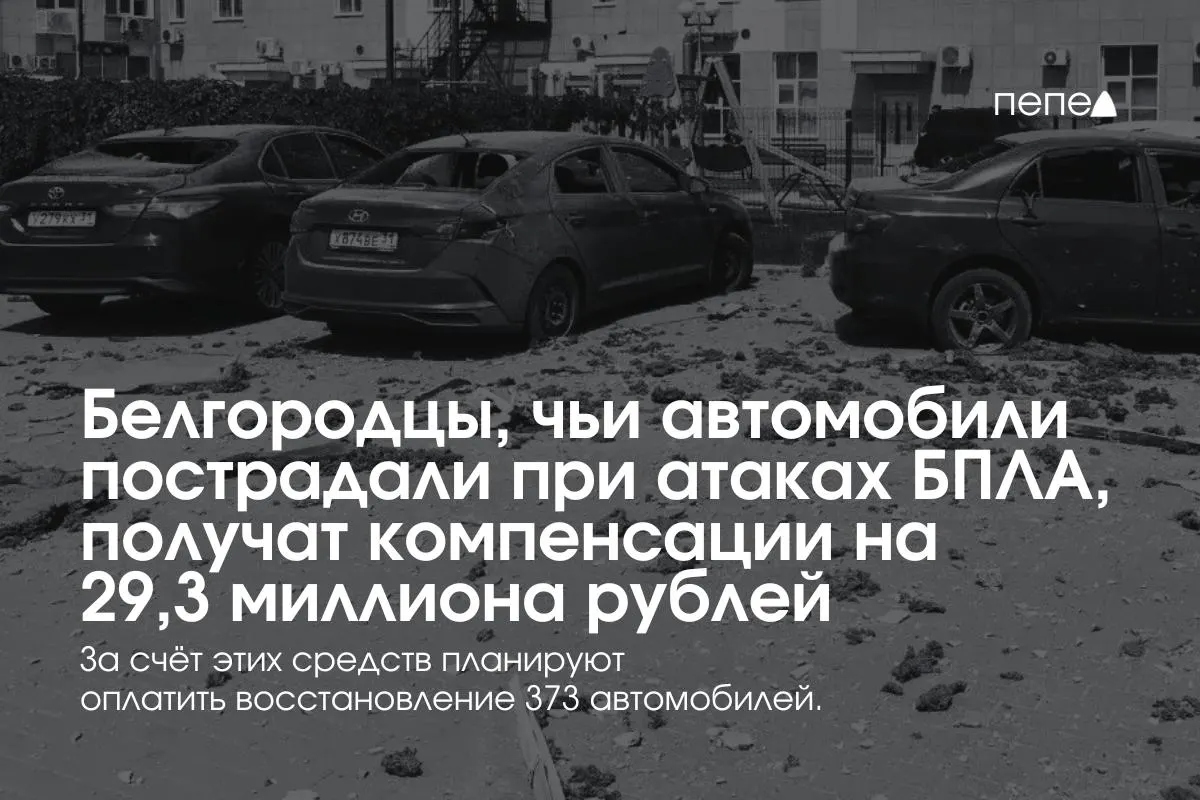 Власти региона распределят выплаты в размере 29,3 млн рублей владельцам 373 машин, средняя сумма компенсации составит около 78,5 тыс. рублей; часть выплат уже начата.