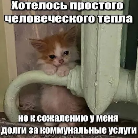 Суд подтвердил, что срок исковой давности по требованиям о капитальном ремонте — три года; долги за капремонт 2016–2023 годов должны быть исключены из платёжек, что защищает покупателей вторичного жилья и наследников.