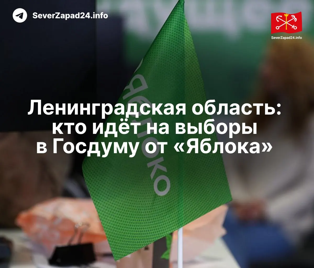 Партия «Яблоко» опубликовала полный список кандидатов на выборы в Госдуму: федеральный список, региональные группы и одномандатные округа.