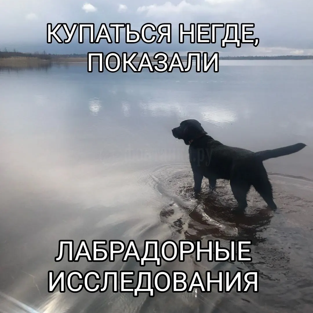 По состоянию на 6 августа ни один водоем в регионе не удовлетворяет санитарным требованиям.