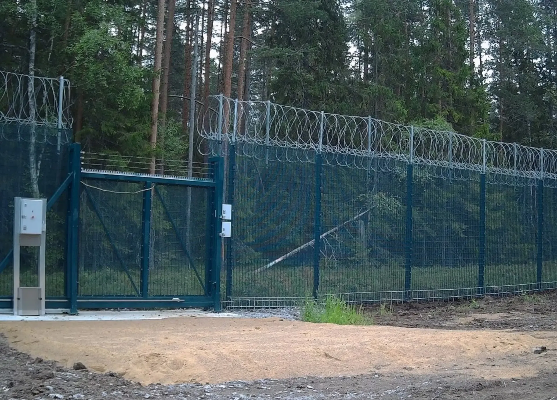 Из-за вспышки африканской чумы свиней около ста диких кабанов оказались в приграничной зоне; власти обсуждают меры по локализации и возможное возведение заграждений.