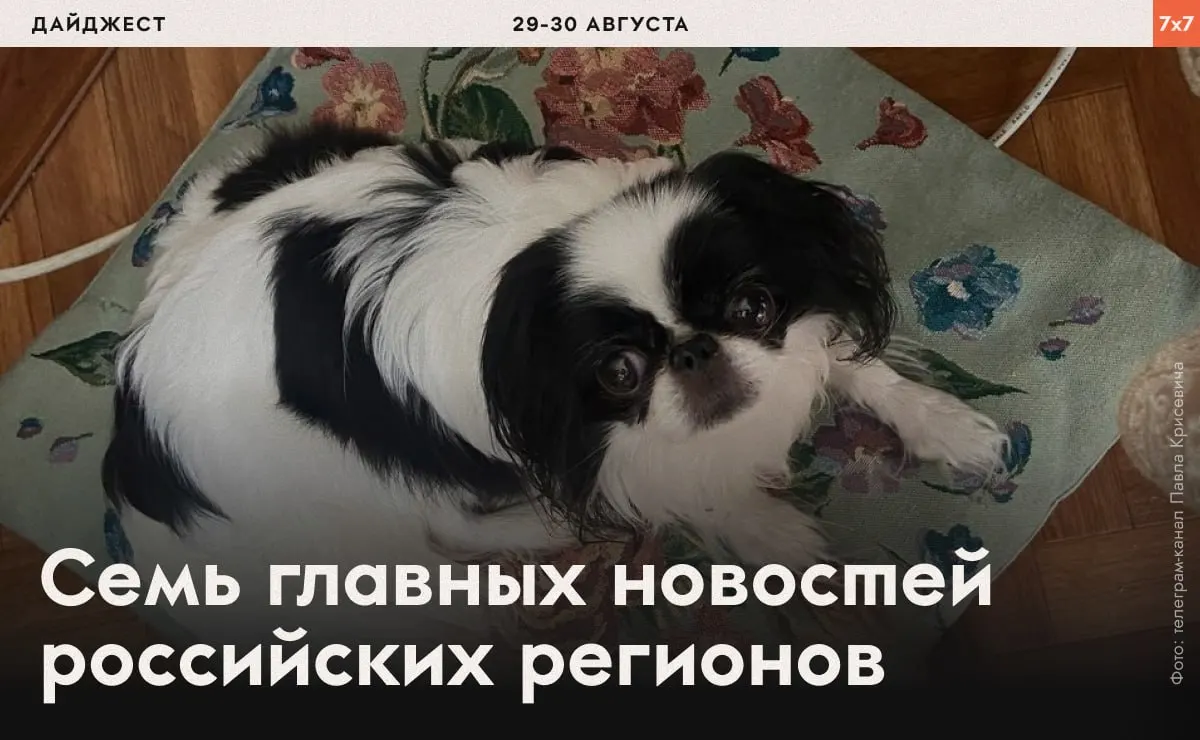 Дайджест по всей стране: давление на активистов, аресты и попытки ограничить политическую агитацию в регионах.