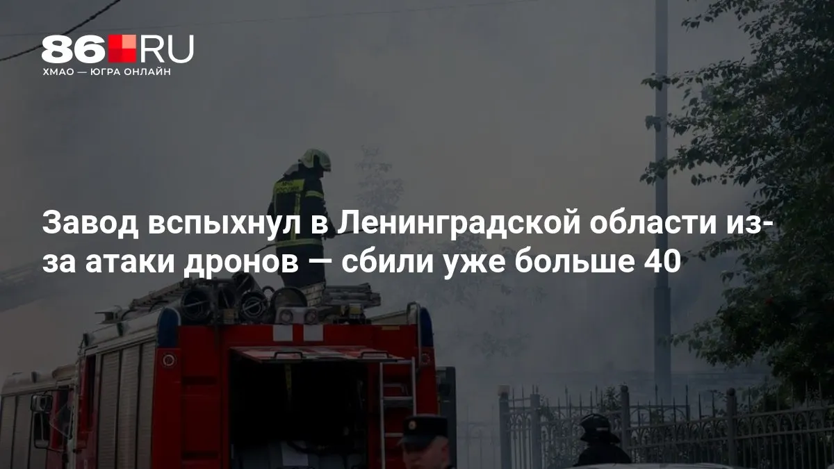 Завод во Ленинградской области загорелся после атаки дронов; по данным, сбиты более 40 беспилотников. Беспилотники также летели в сторону Москвы.