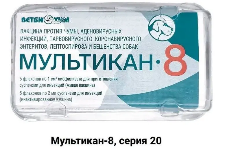 Появились сообщения о гибели собак после вакцинации препаратом «Мультикан-8»; семьи требуют проверки вакцины и анализа вируса Ауески.