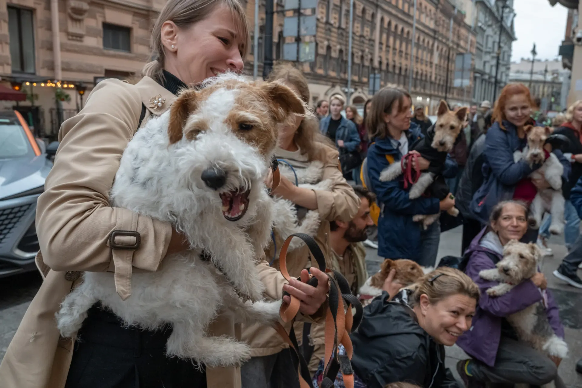 В Санкт-Петербурге прошёл десятый фестиваль памяти Сергея Довлатова «День Д»: парад, возложение цветов и серия мероприятий, раскрывающих неофициальную культуру Ленинграда и Москвы.