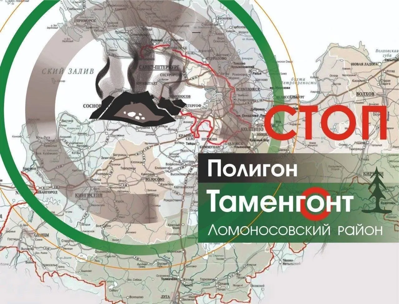Локальные жители выступают против проекта, а следствие потребовало вернуть участок в лесной фонд и остановить вырубку до решения по статусу земель.