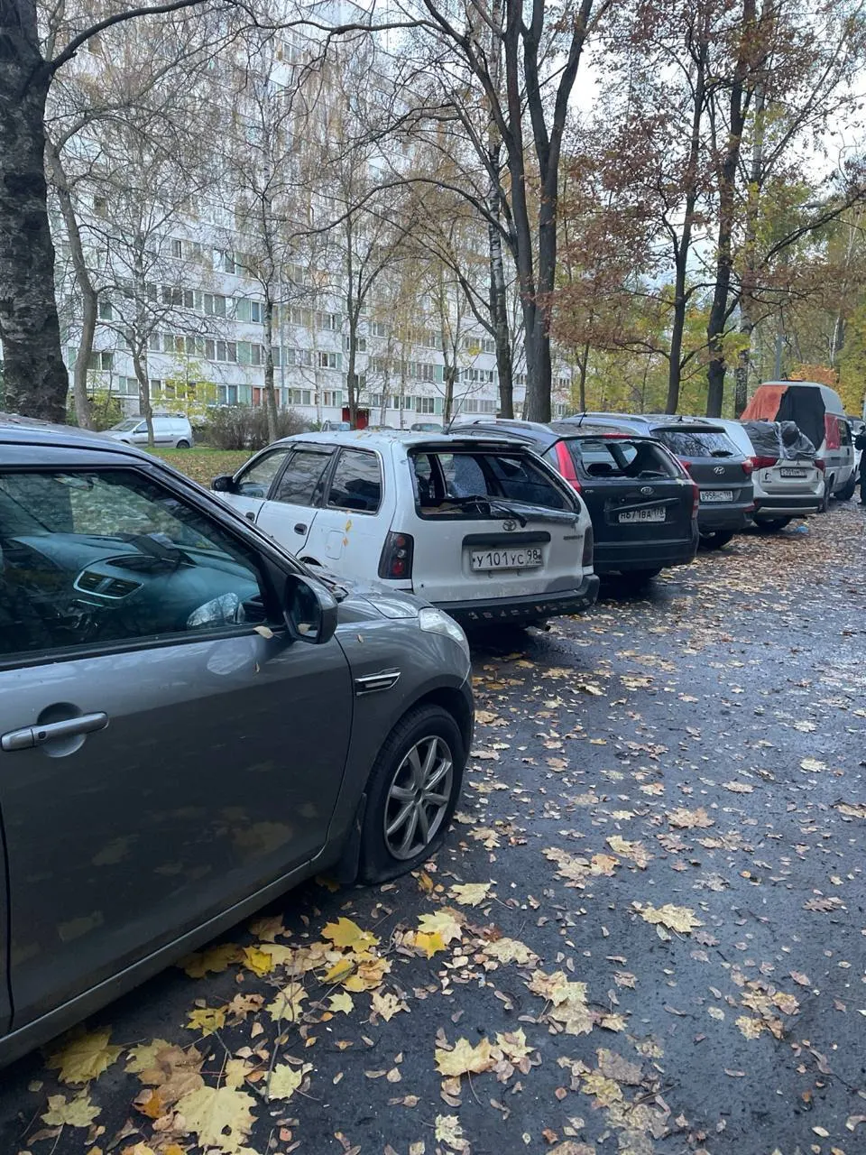 В нескольких населённых пунктах Ленинградской области произошли отключения электроэнергии и повреждения окон: около 50 домов обесточены, примерно 20 тысяч жителей остаются без света.